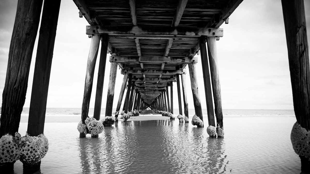 pier dock bridge free photo