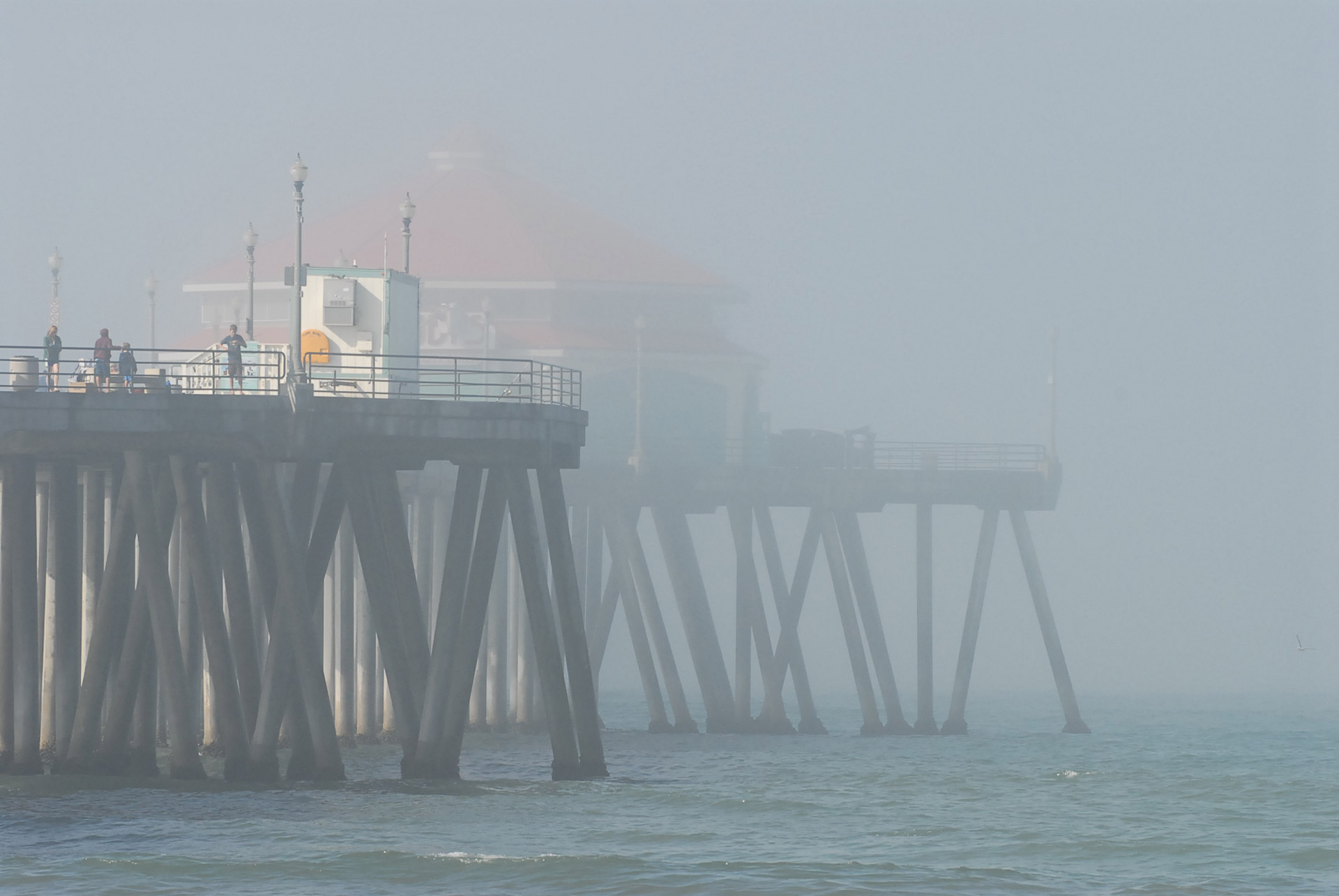 pier misty morning free photo