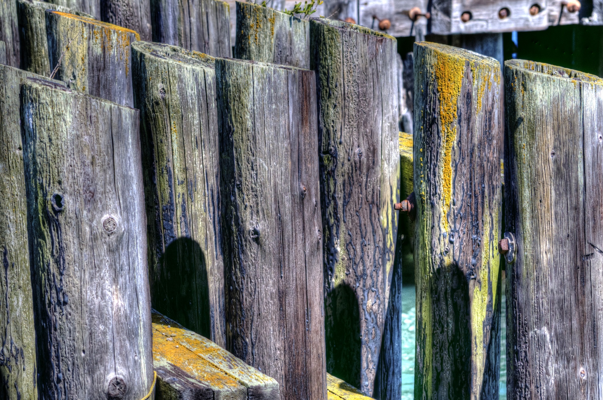 pier piers piling free photo