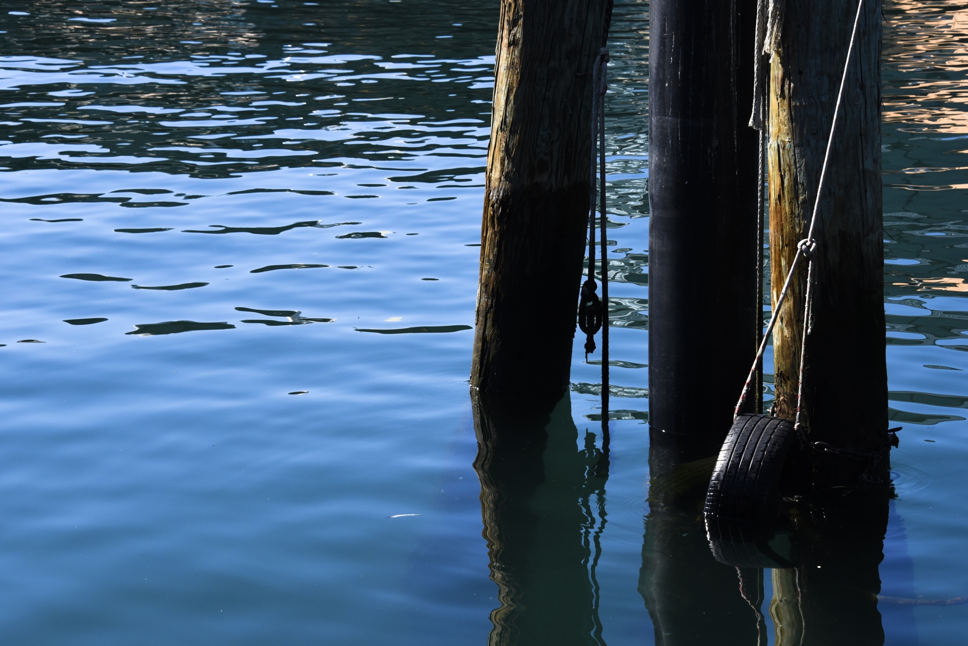 pier under pilings free photo