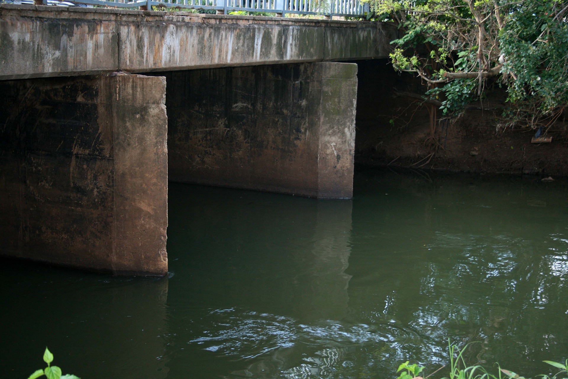 bridge piers concrete free photo