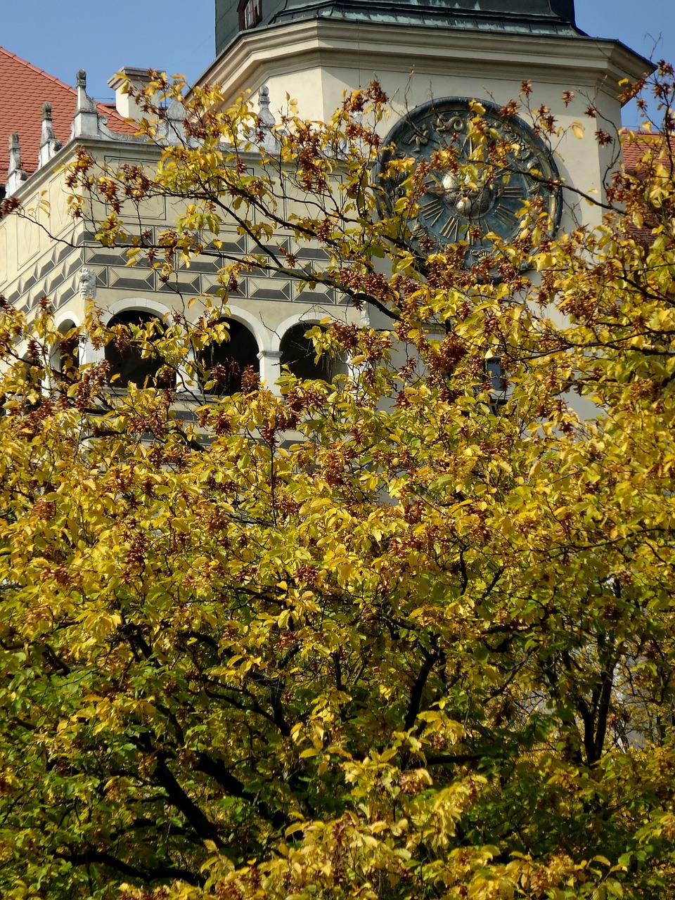 pieskowa skała castle poland castle free photo