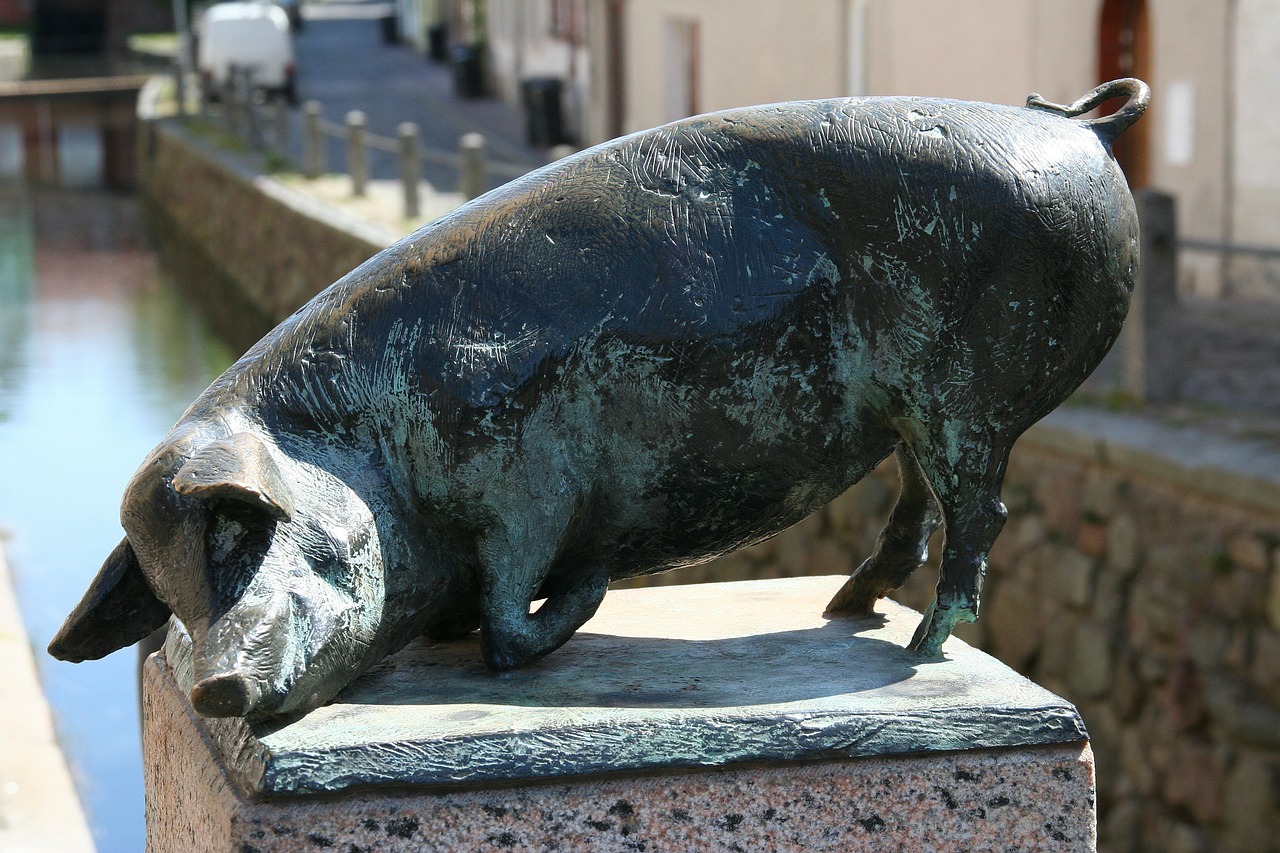 pig bronze statue wismar free photo