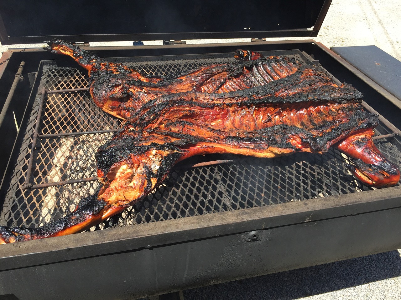 pig bbq pork free photo