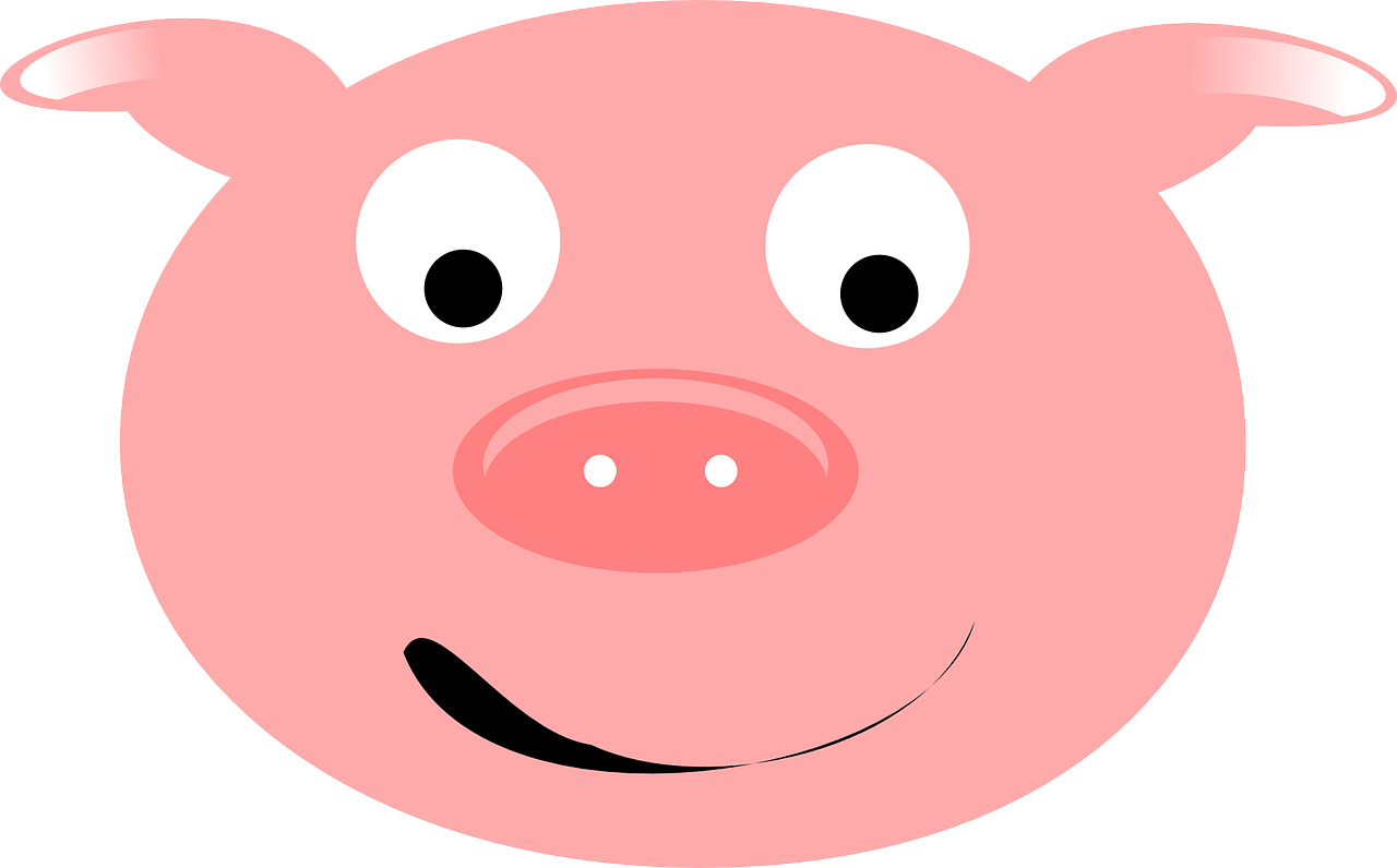 pig pork happy free photo