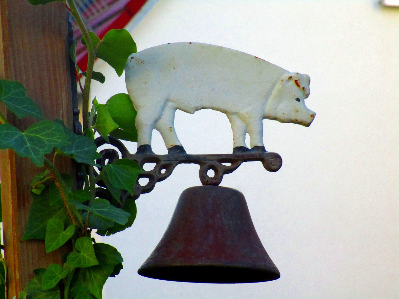 pig bell deco free photo