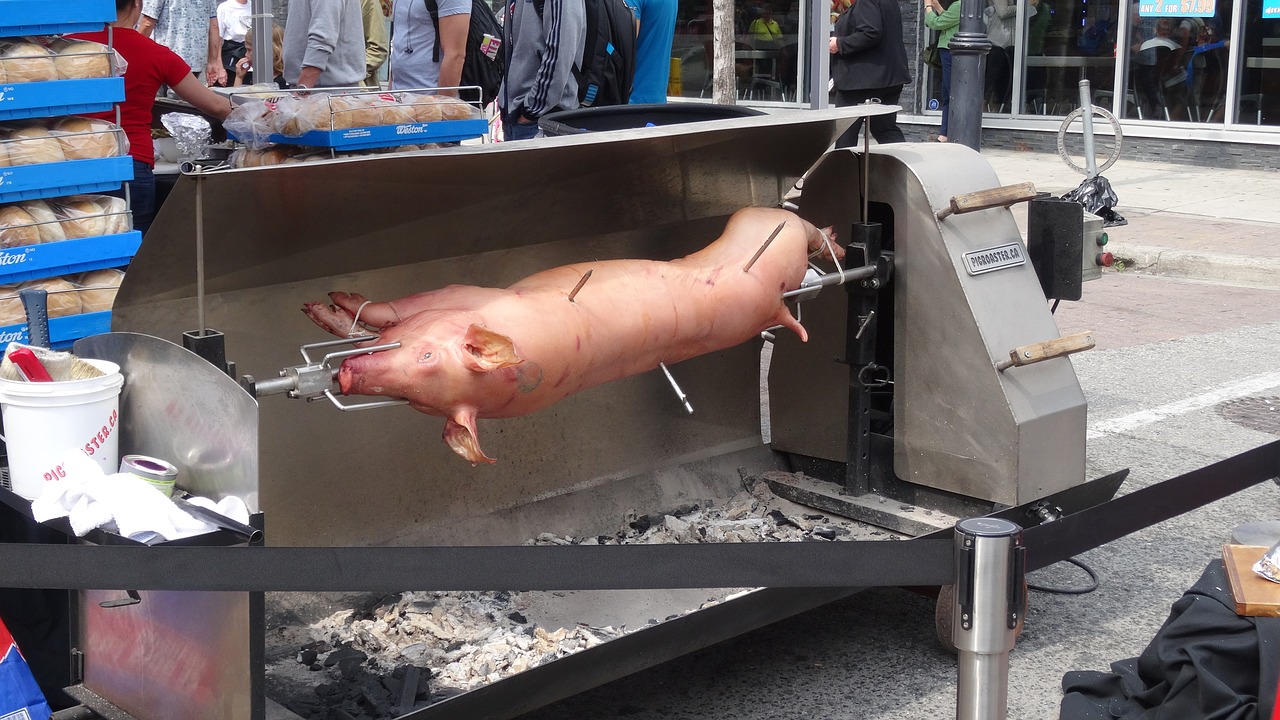 pig barbecue grill free photo