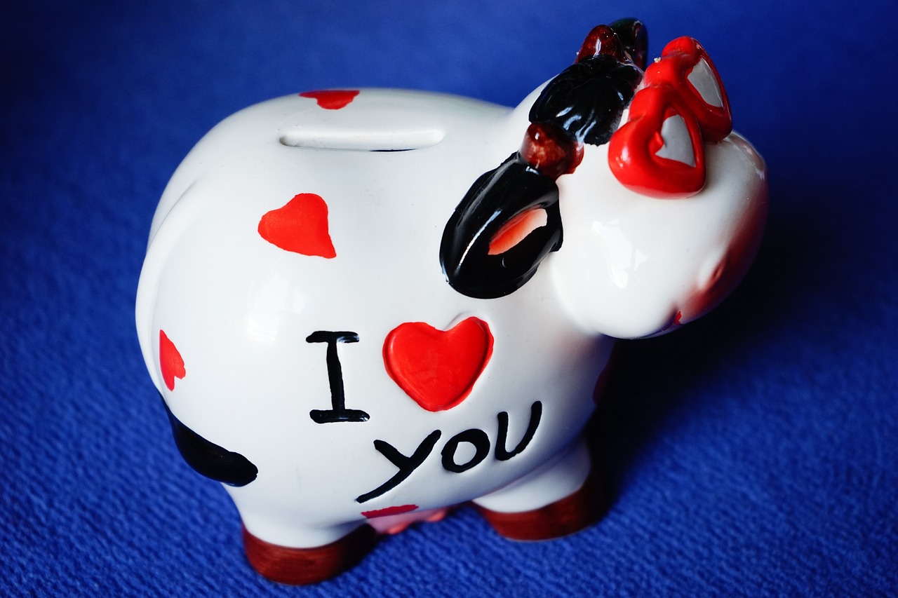 pig lucky pig piggy bank free photo