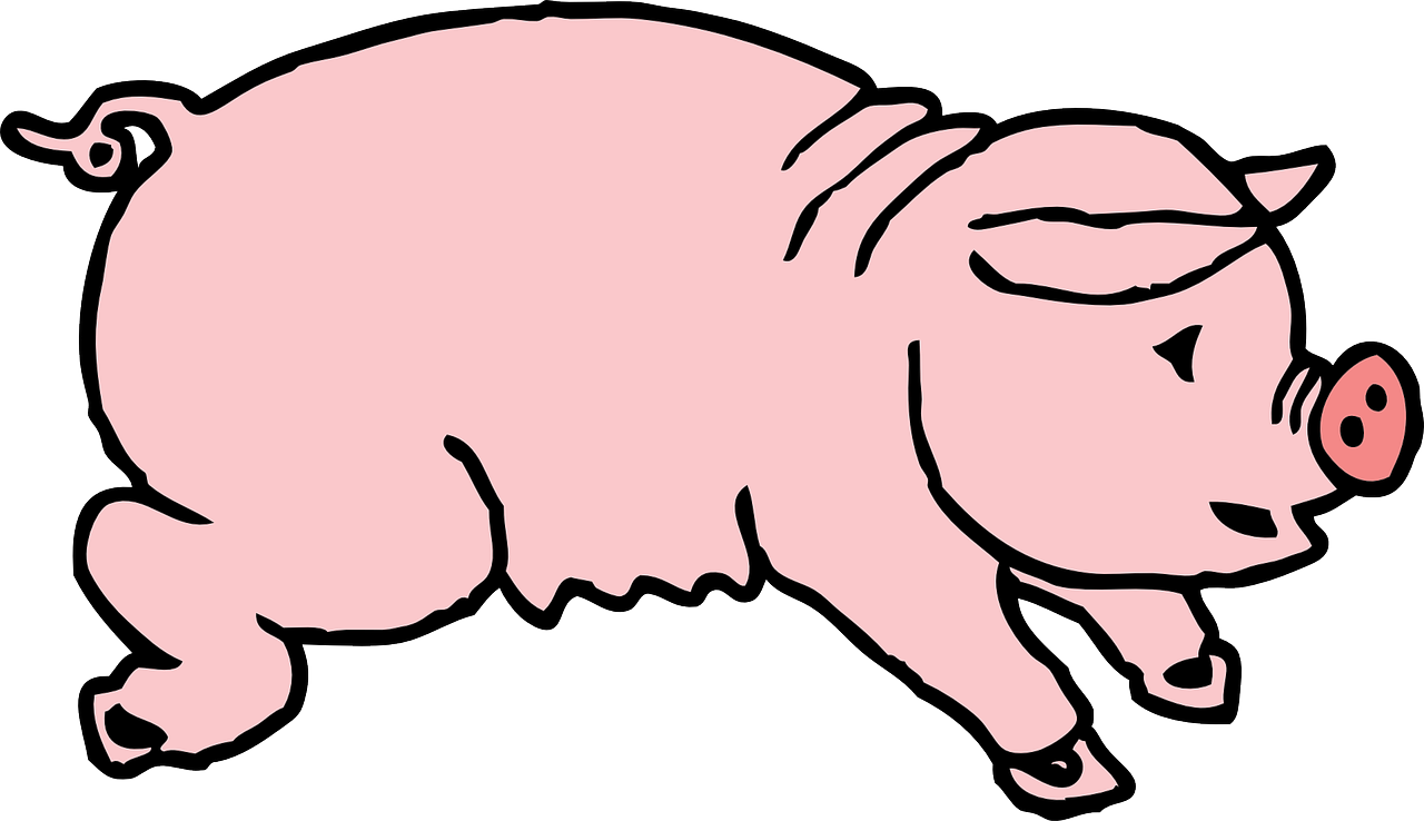 pig hog animal free photo