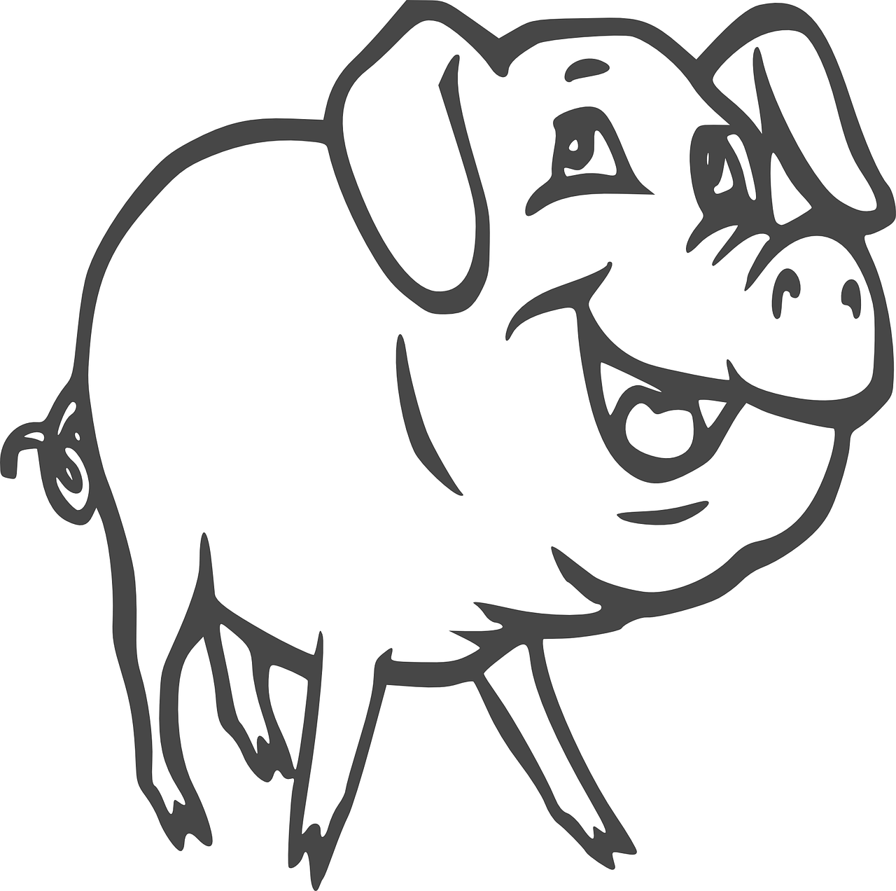 pig swine hog free photo