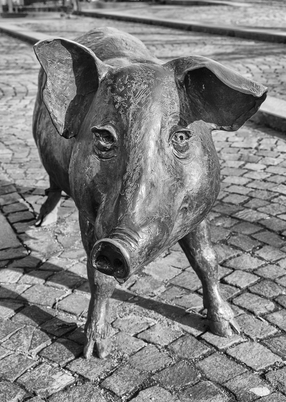 pig bronze statue sow free photo