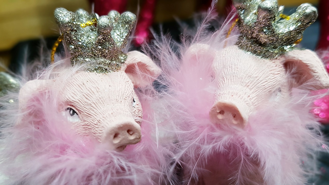 pig  crown  feather boa free photo