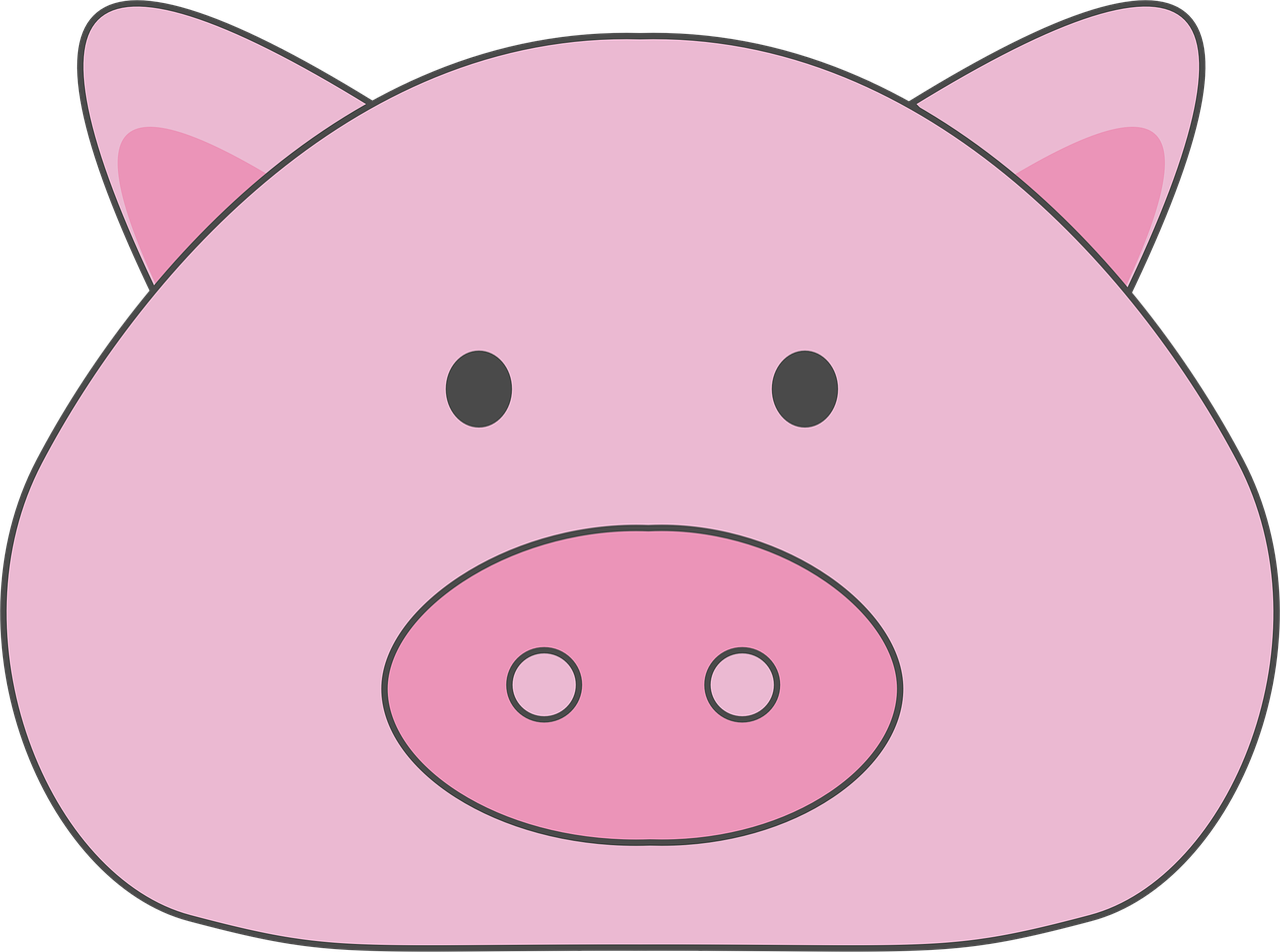 pig  pig face  pig illustration free photo