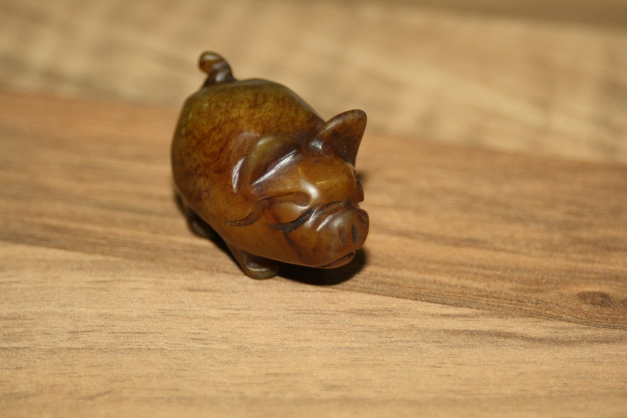 pig luck lucky charm free photo