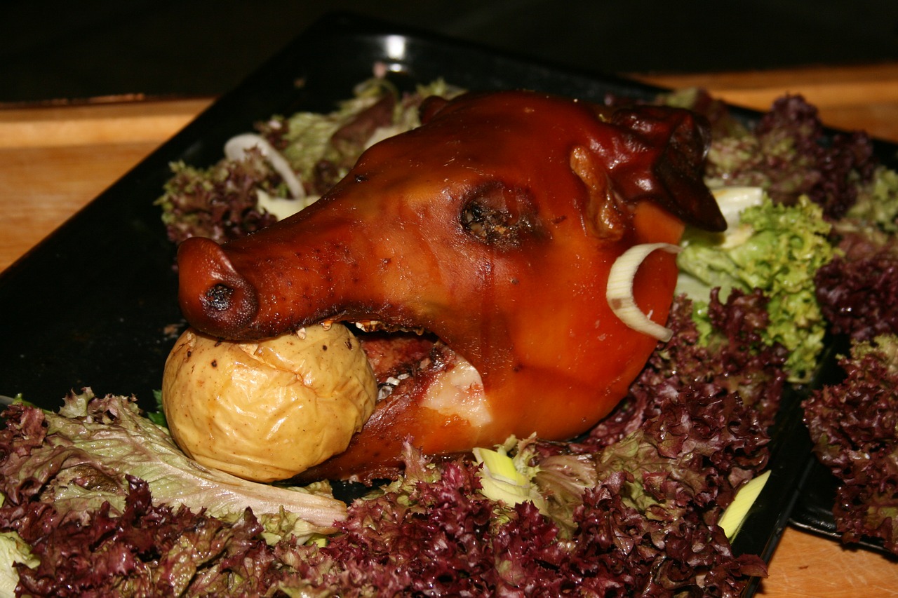 pig food roast free photo