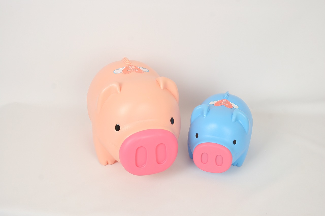 pig piggy bank in the new year free photo