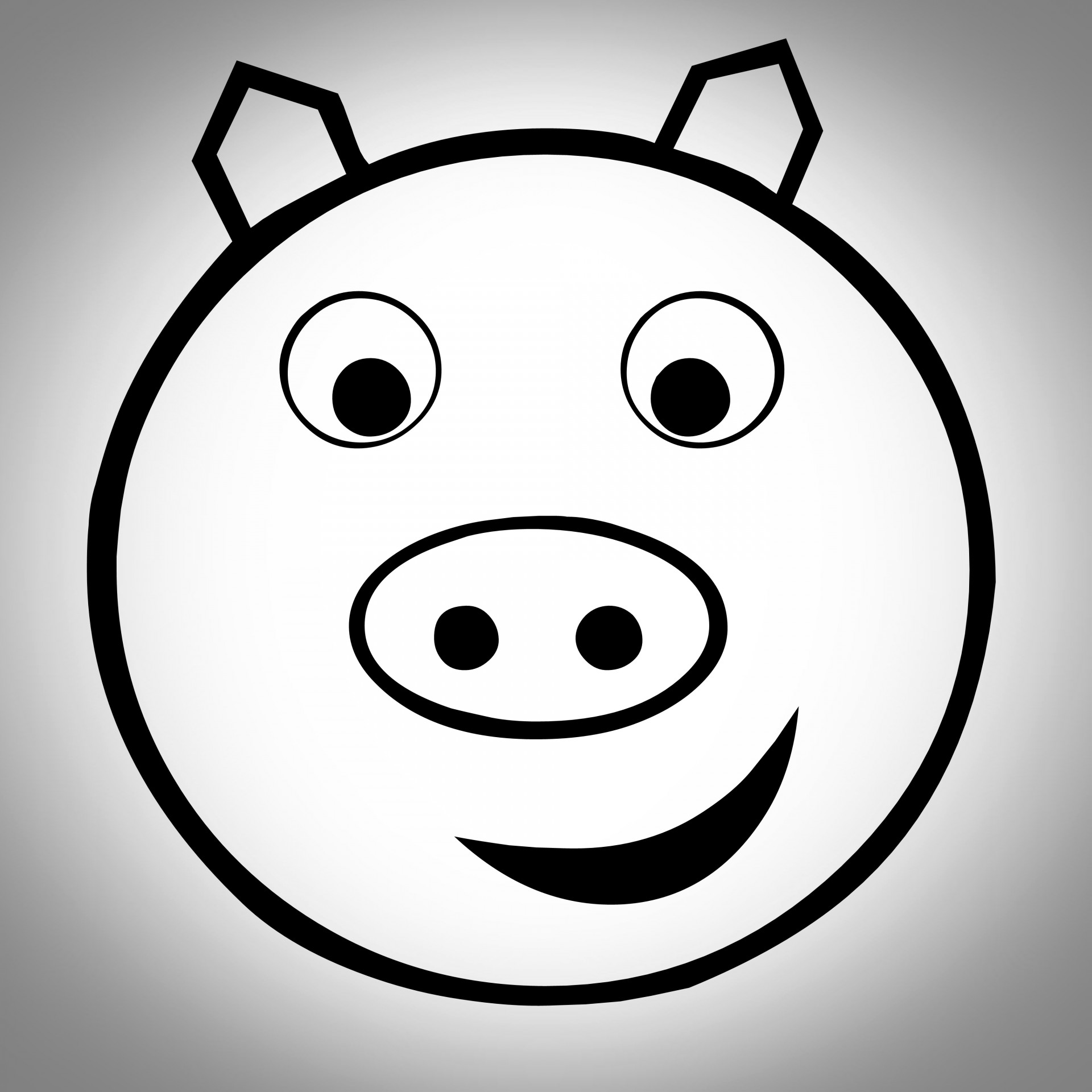 drawing grey pig free photo