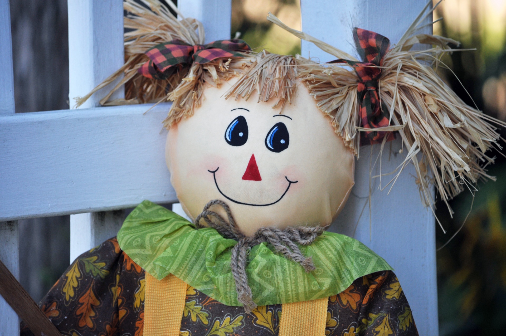 scarecrow girl smile free photo