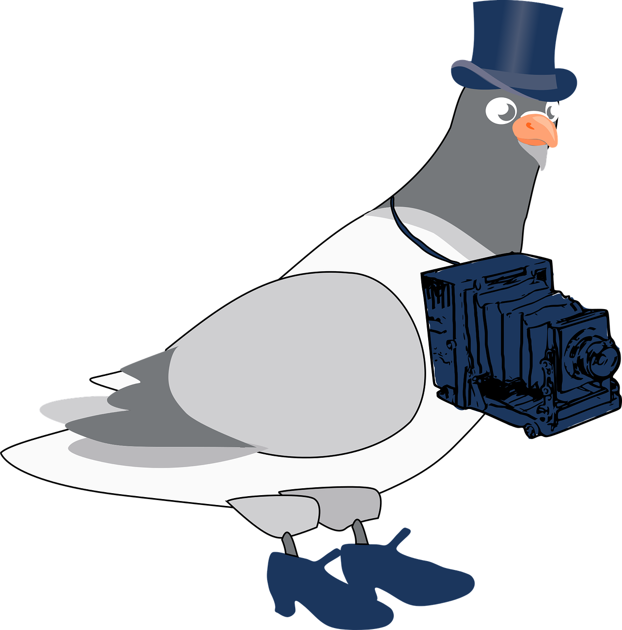 pigeon photographer cartoon free photo