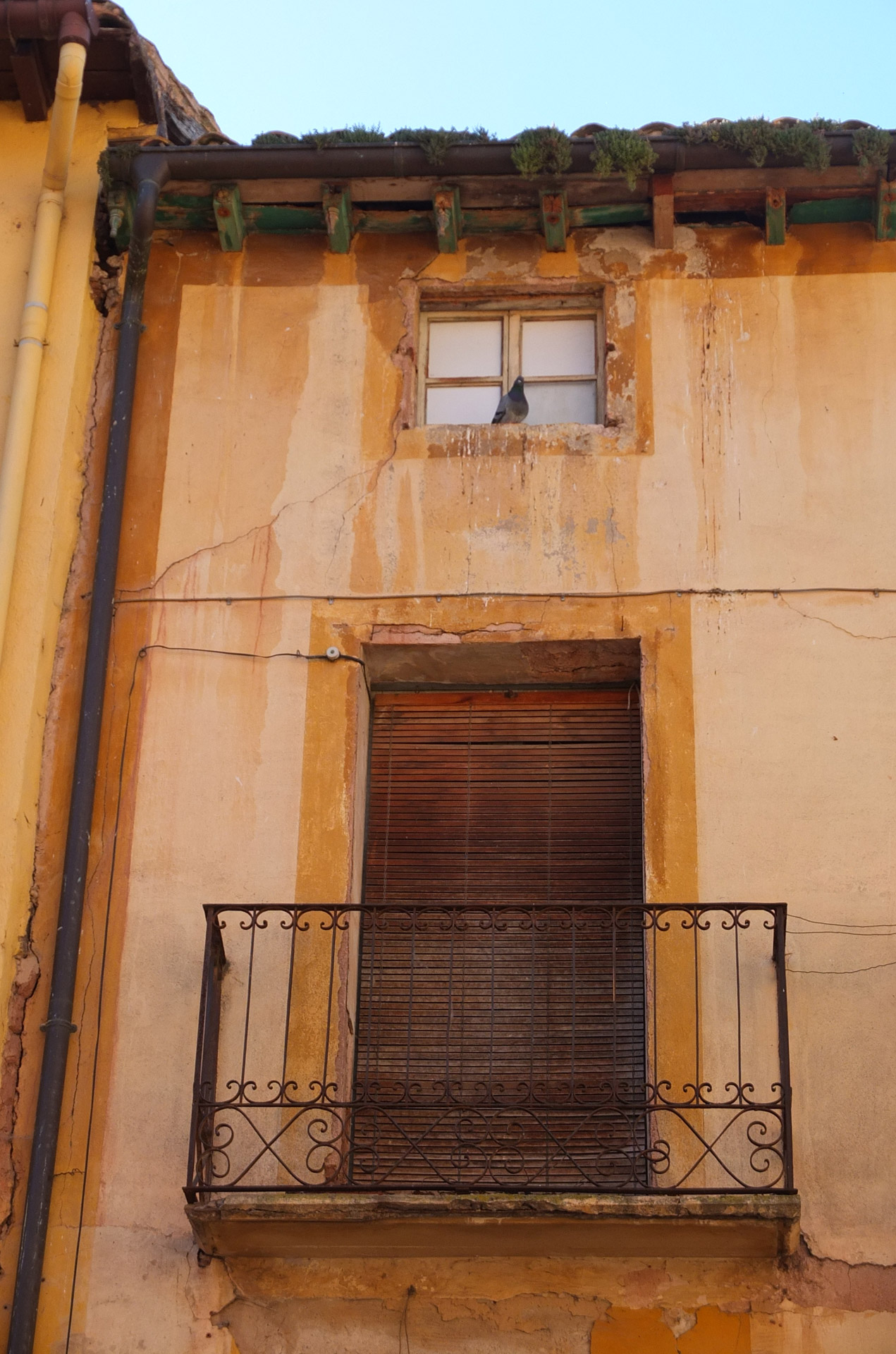 pigeon wall spain free photo