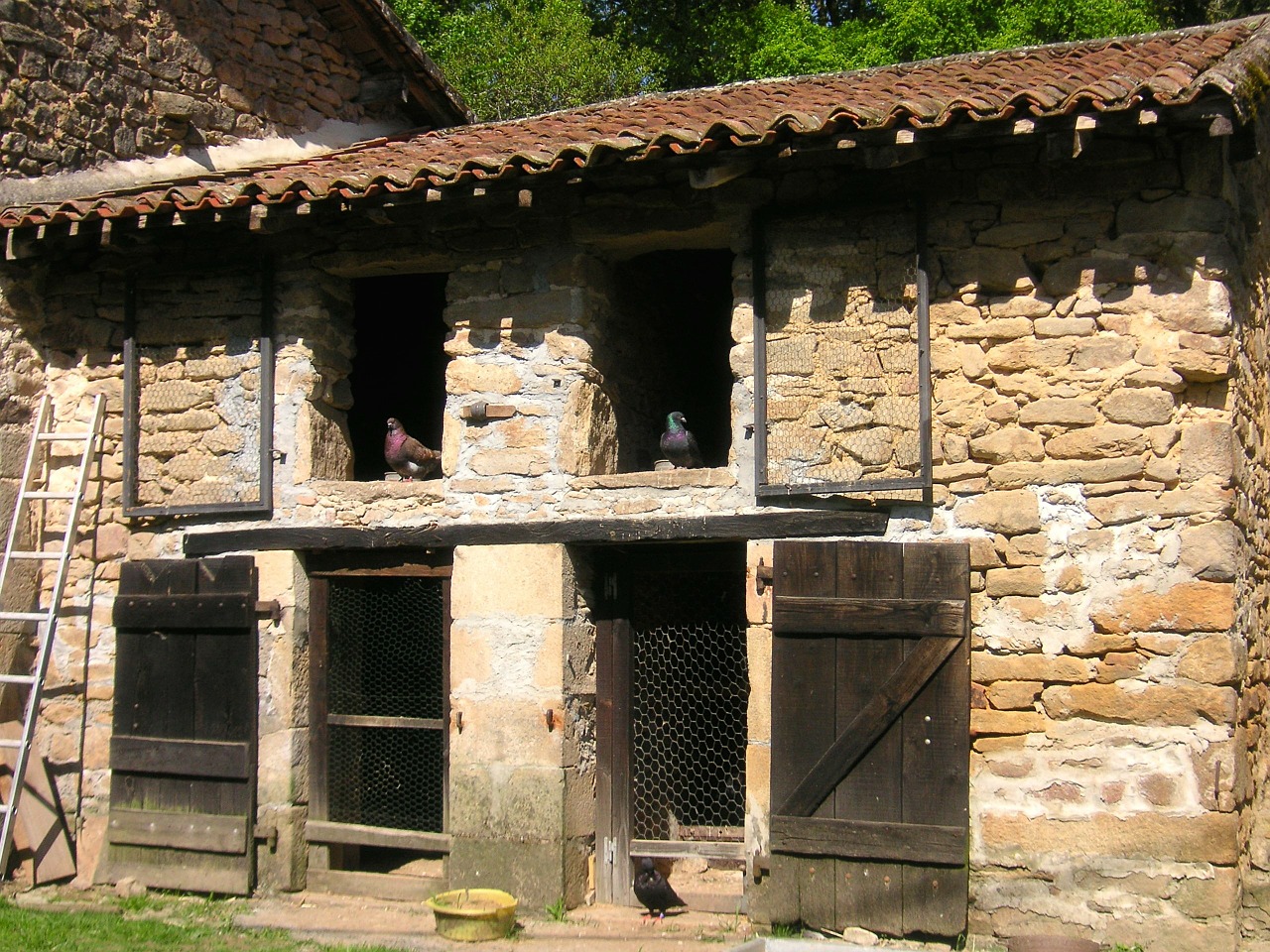 pigeonnier stone coop pigeons free photo