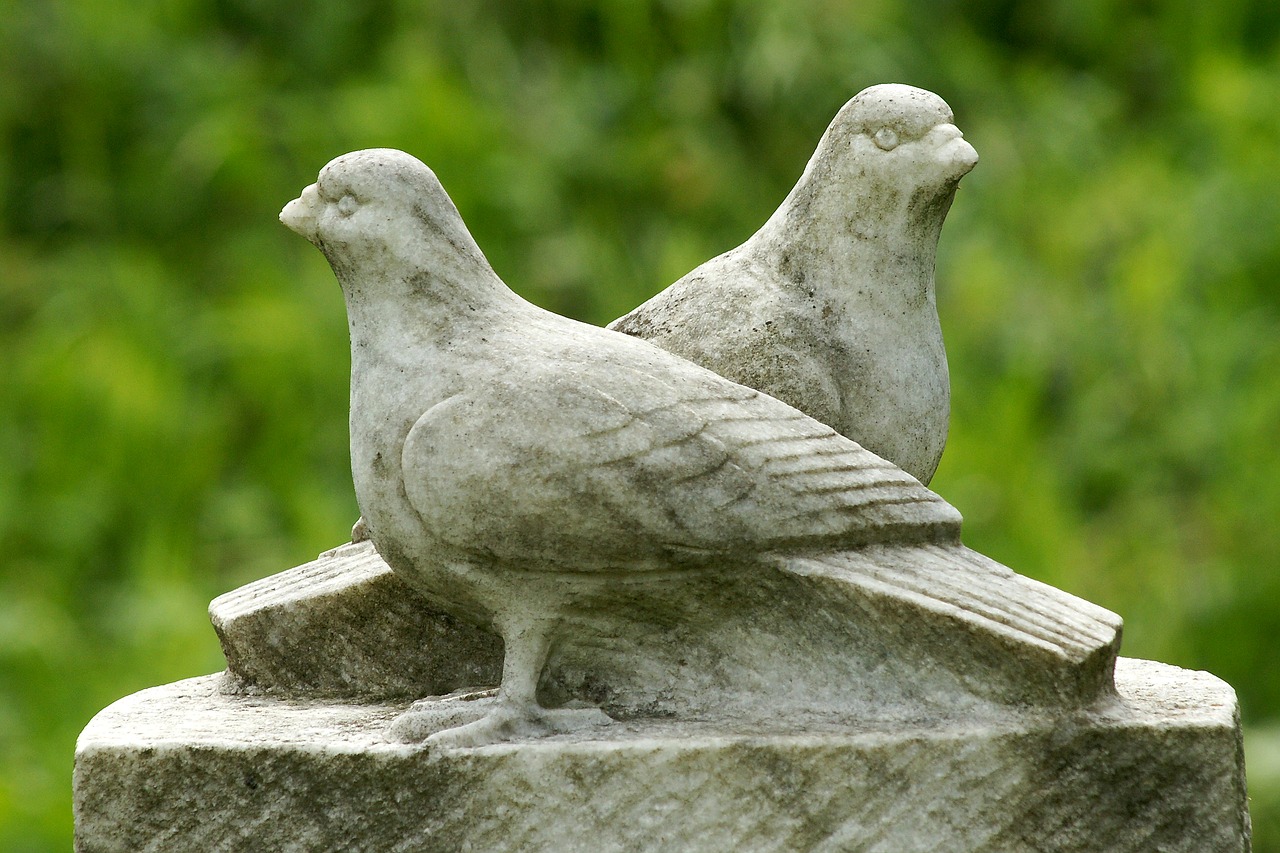 pigeons sculpture stone free photo