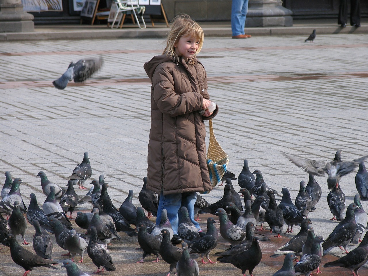 pigeons space girl free photo
