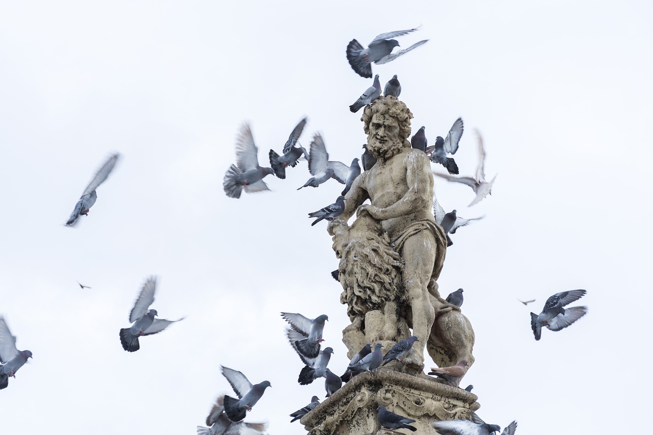 pigeons  statue  simple free photo