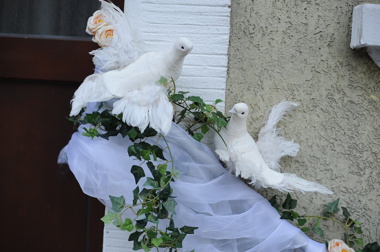 pigeons wedding arrangement free photo