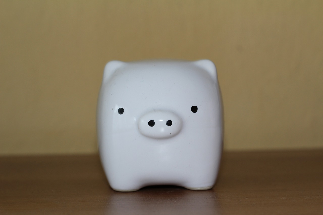 piggy piggy bank white free photo