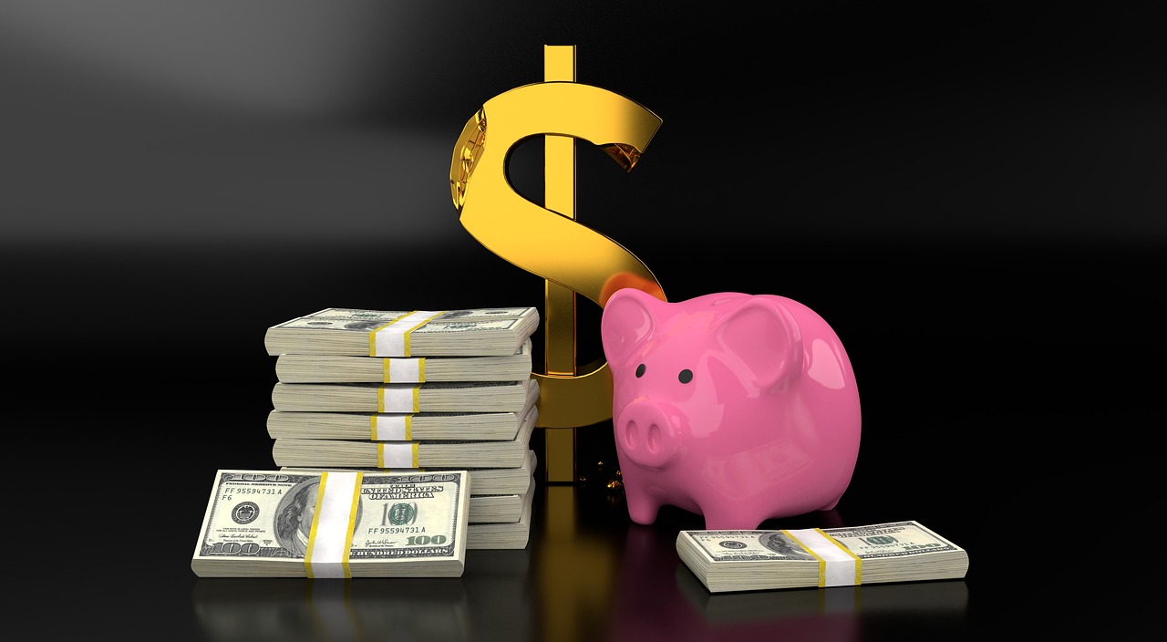 piggy  bank  money free photo