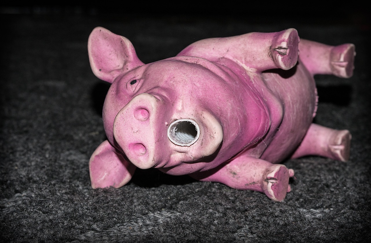 piggy the pig toy free photo