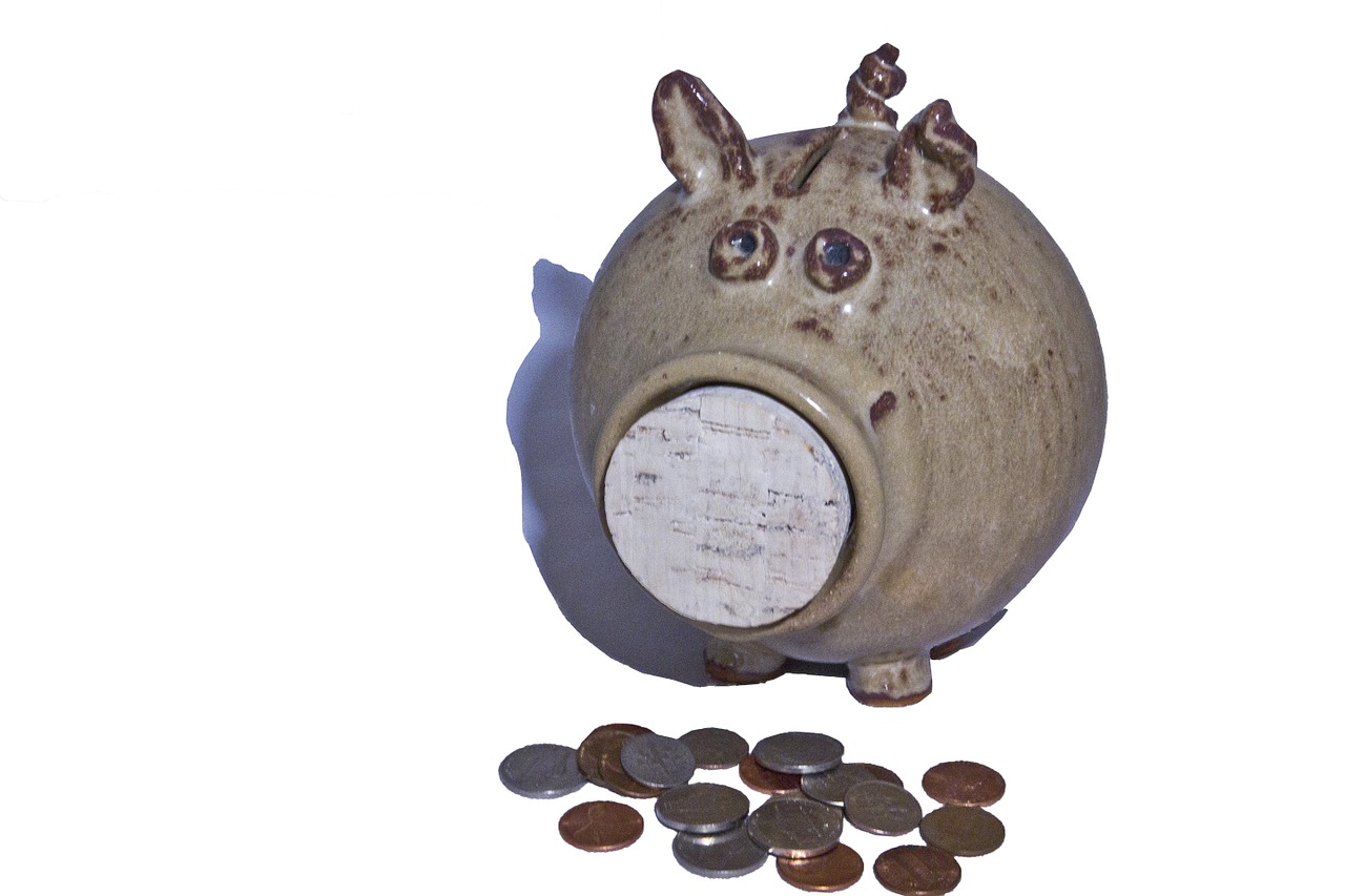 piggy bank money savings free photo