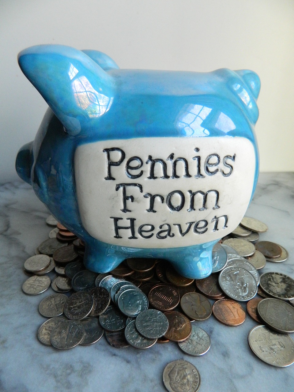 piggy bank money box savings free photo