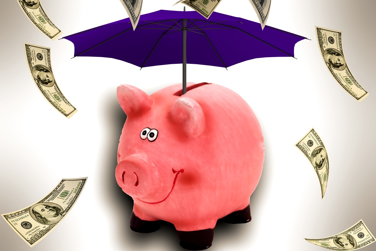 piggy bank umbrella money rain free photo