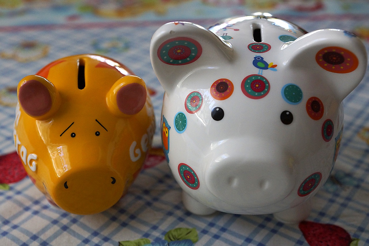 piggy bank money porcelain free photo