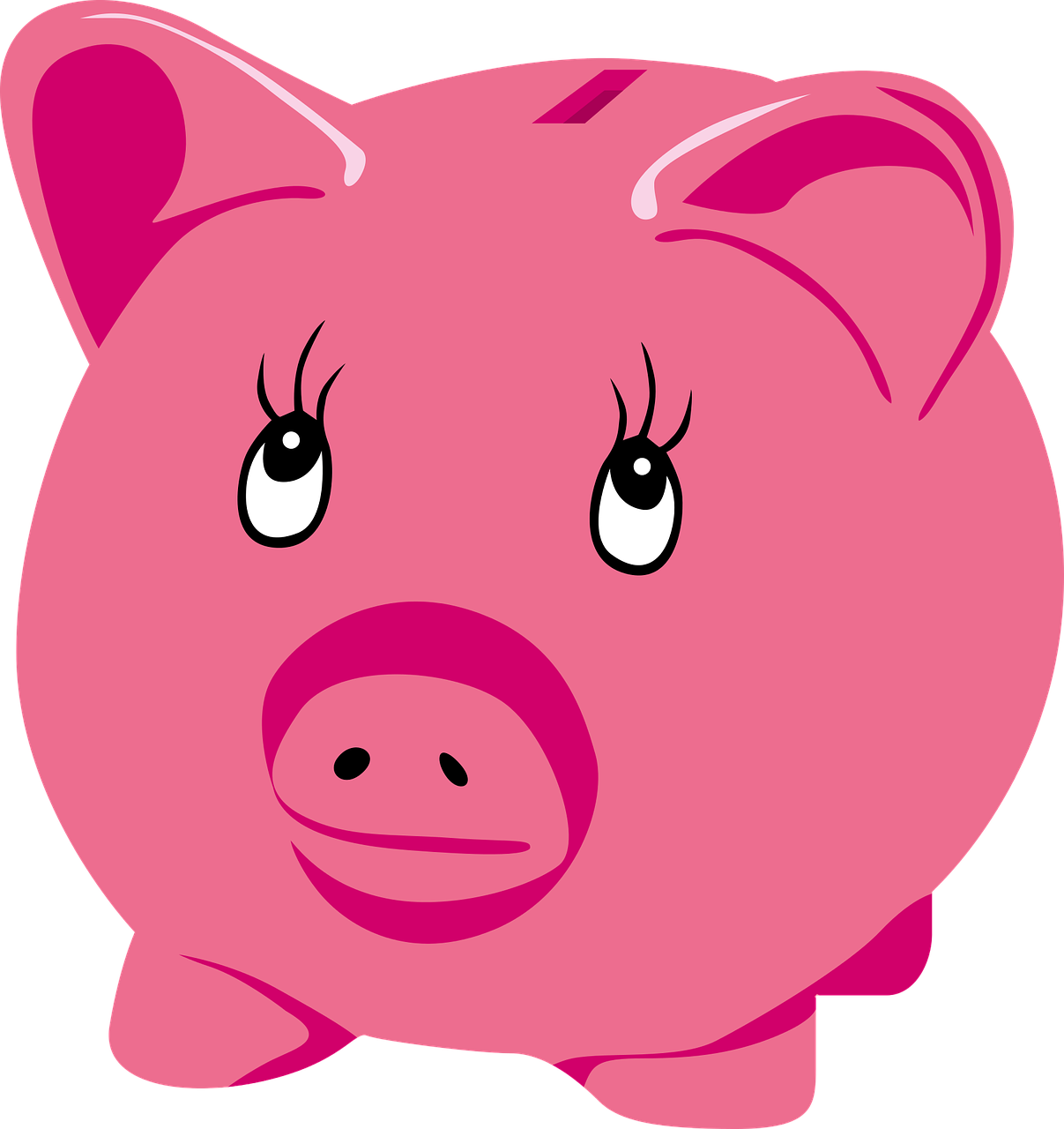 piggy bank money pig free photo