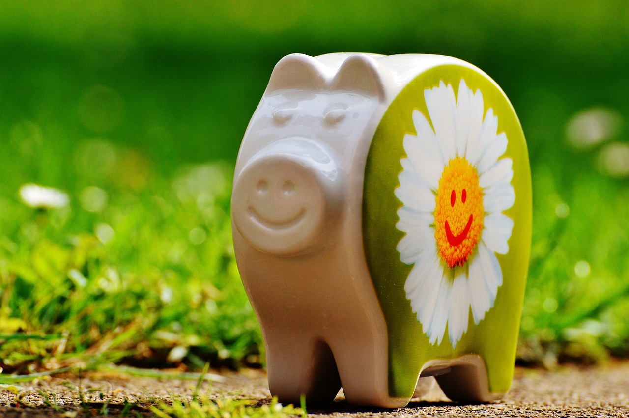 piggy bank smiley funny free photo