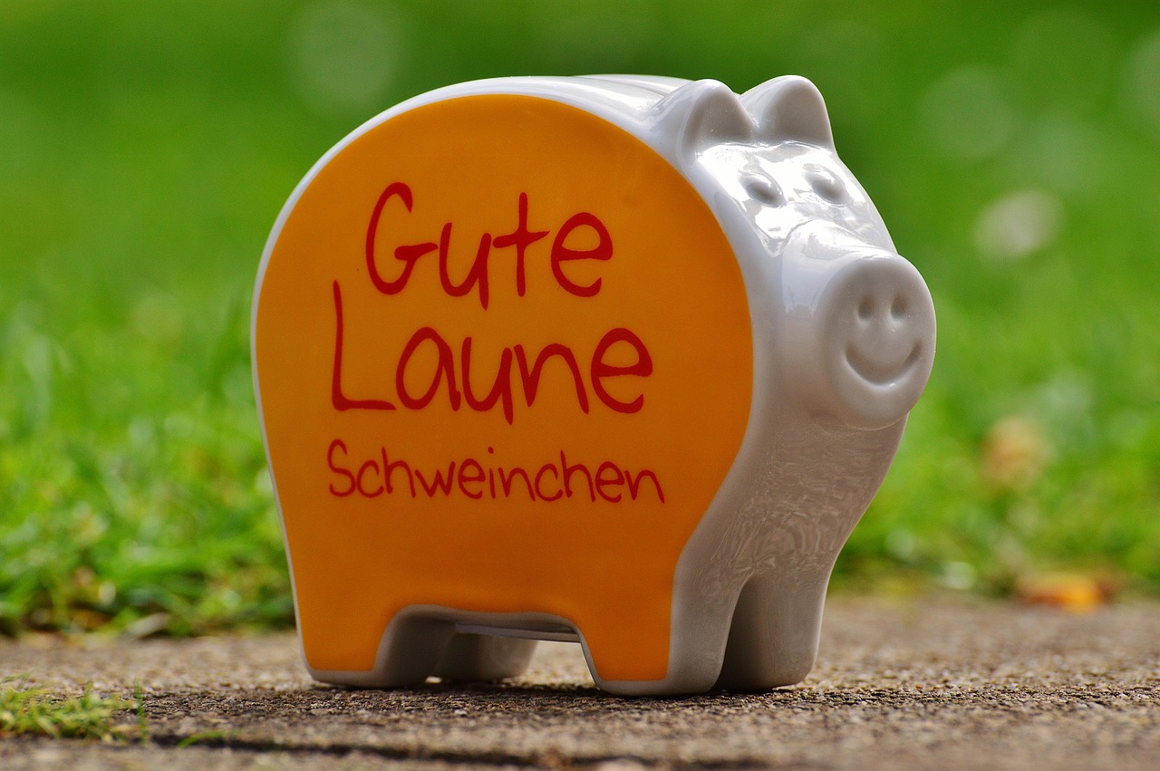 piggy bank smiley funny free photo