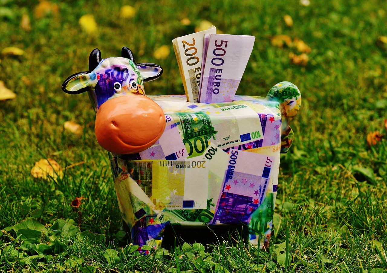 piggy bank money cow free photo