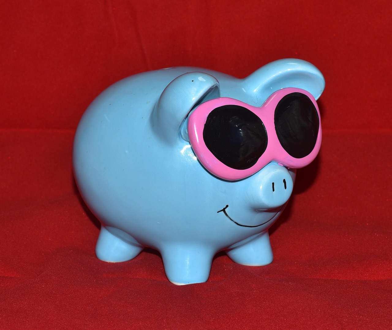 piggy bank blue glasses free photo