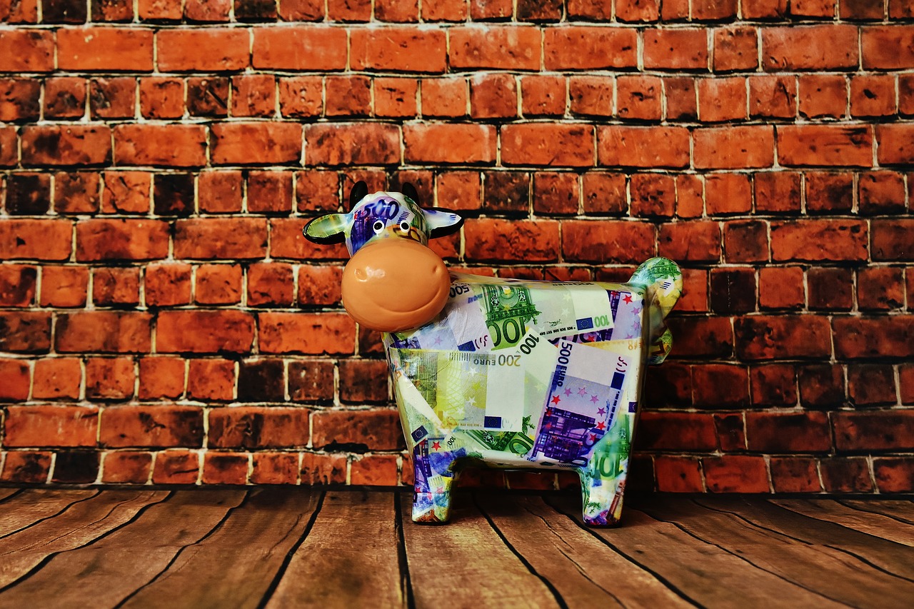 piggy bank cow bank note free photo