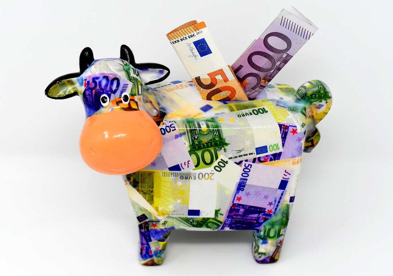 piggy bank money cow free photo