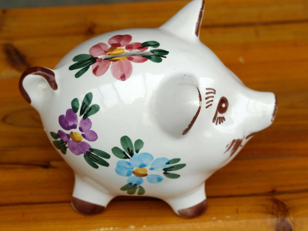 piggy bank piglet save free photo