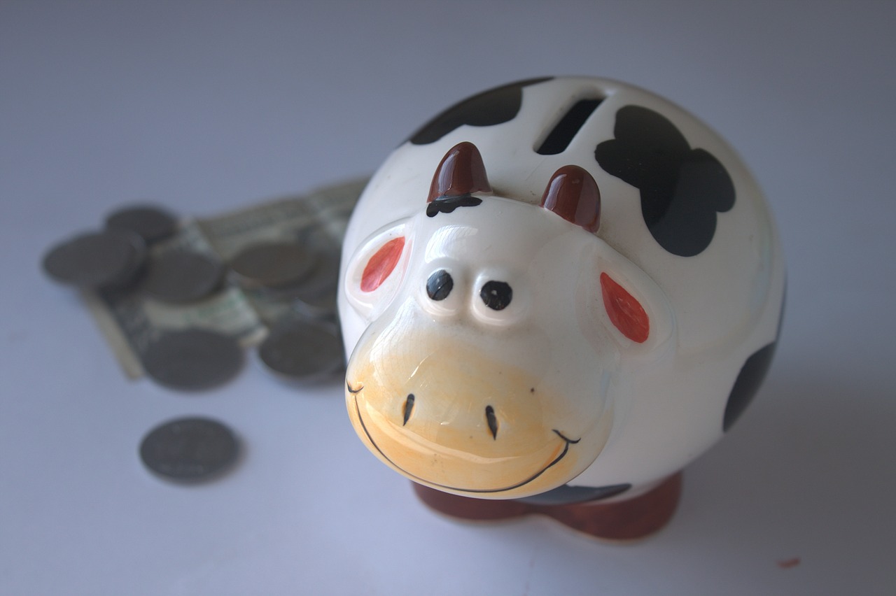 piggy bank savings money free photo