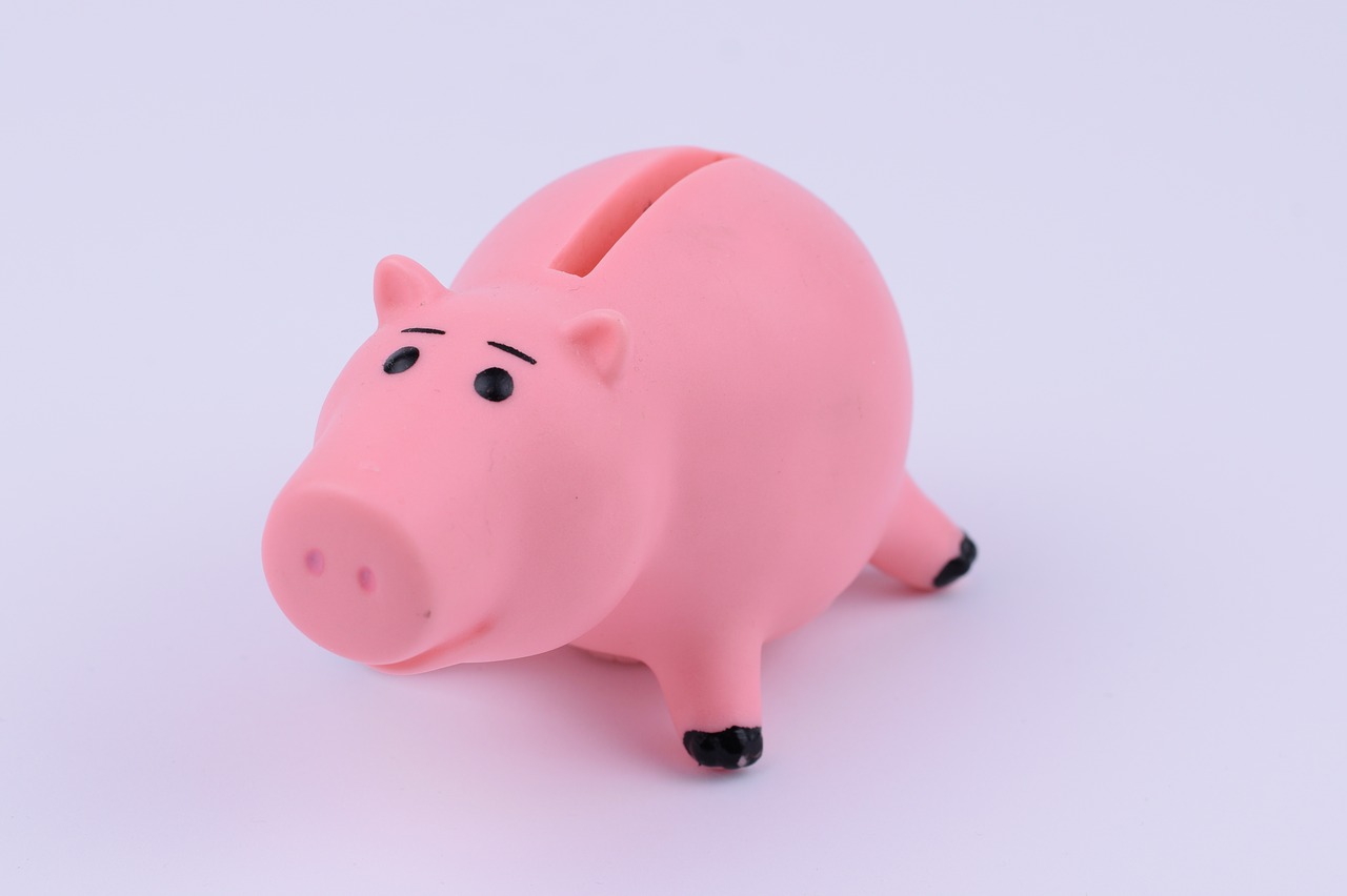 piggy bank  figure  finance free photo