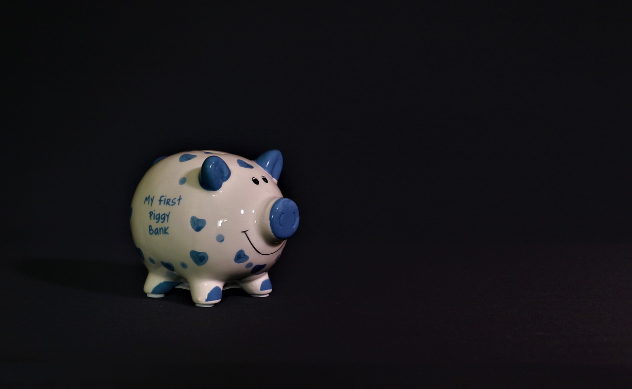 piggy bank  savings  cash free photo