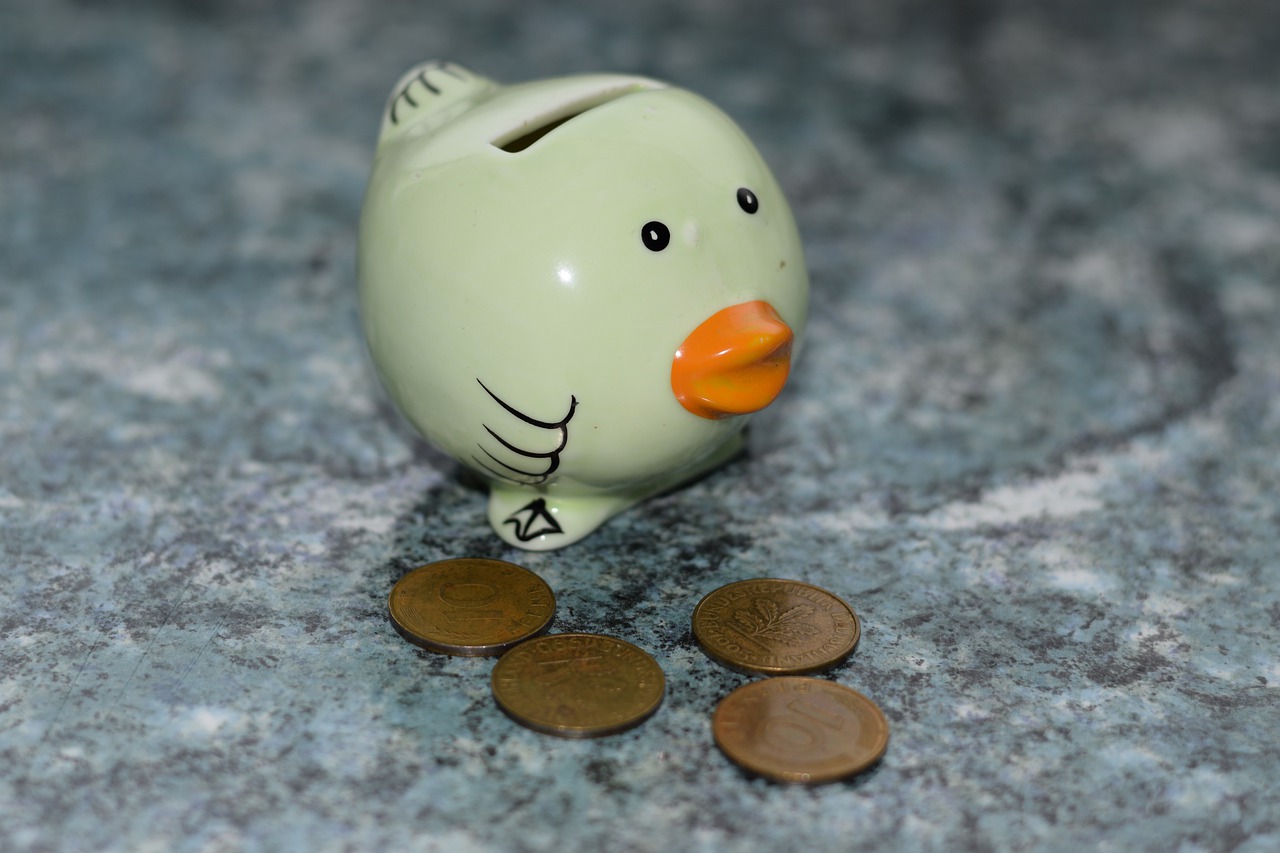 piggy bank  money  save free photo