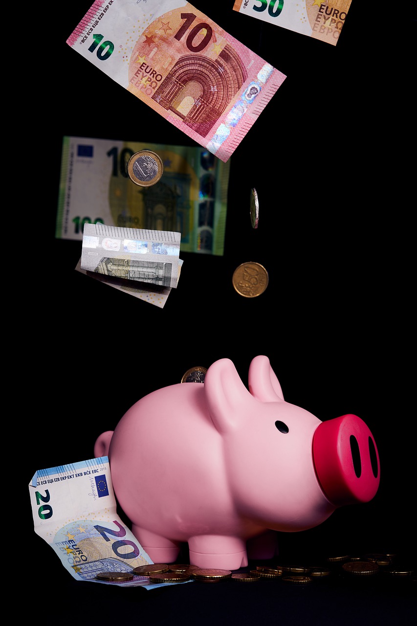 piggy bank  save  invest free photo