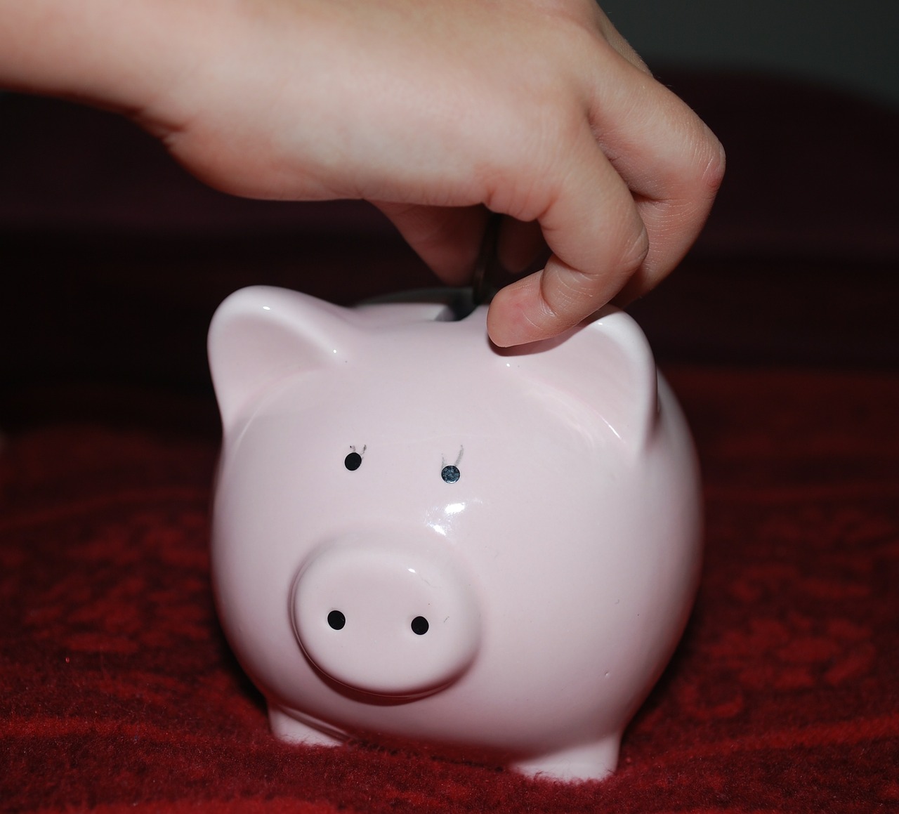 piggy bank pig savings free photo